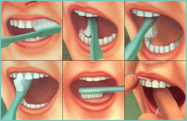 зубы инструкция.jpg
