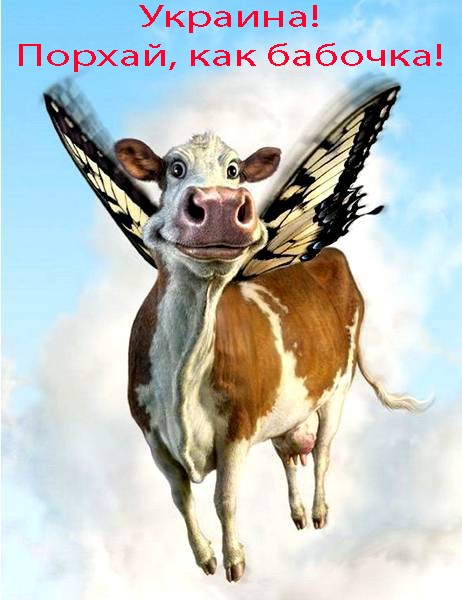 летающая корова.jpg