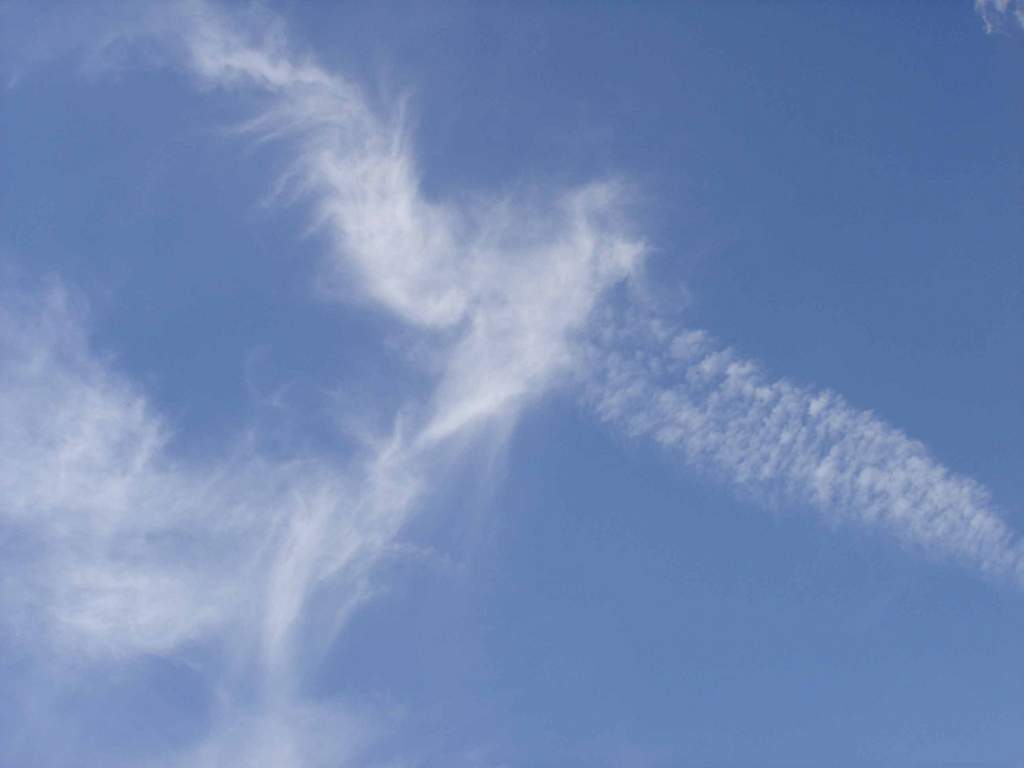 bird-cloud.jpg